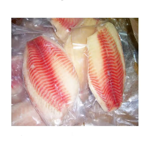 Frozen Tilapia Fillet /Salmon Fish / Mackerel