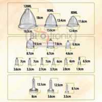 ABS Plastic Vacuum Therapy Machine, For Clinical, Electrotherapy equipment