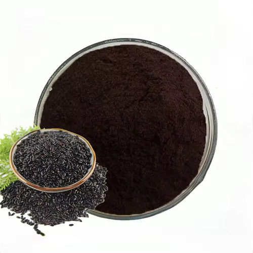 Organic Black Rice and Black rice Extract Chinese