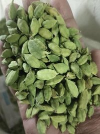 Fresh Green Cardamom