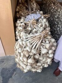 ताजा लहसुन