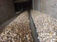 White Garlic And Red Garlic Available