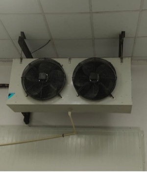 Blue Cold Room Temperature Controller