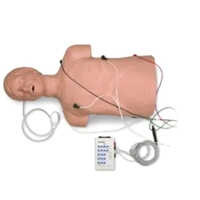 Defibrillation Cpr Training Manikin