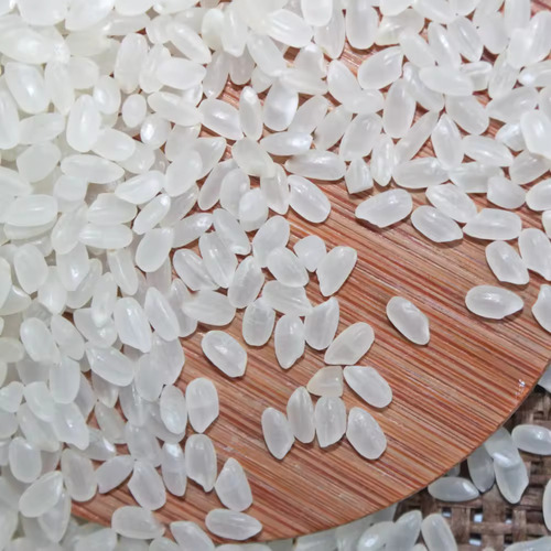2020 Japonica Rice And Round Rice Available - Application: Culinary (Sushi