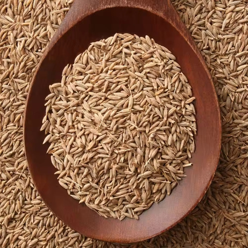 Turkish Cumin Seeds