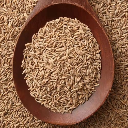 Turkish cumin seeds