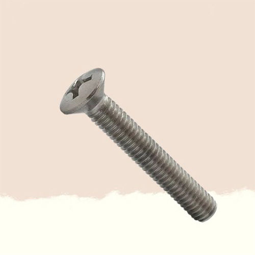 Raise Philips Head Screw - Color: Silver