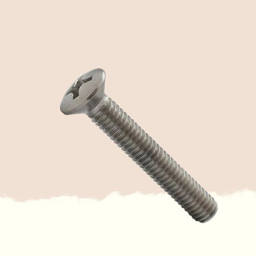 Raise Philips Head Screw