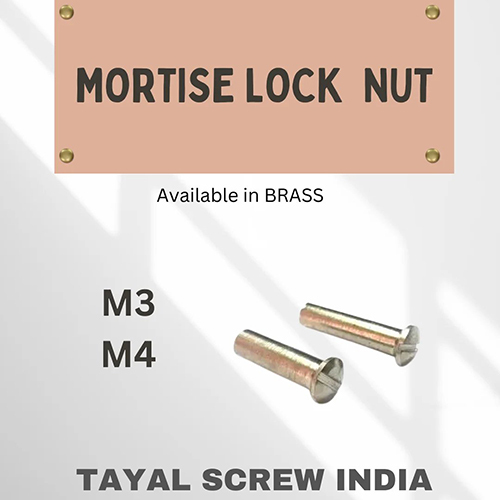 Mortise Lock Nut - Size: All Size