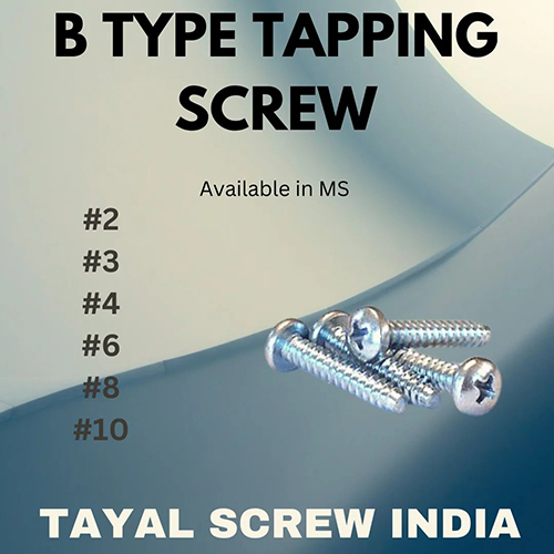 B Type Tapping Screw