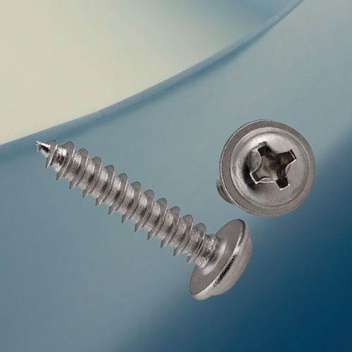 Washer Head Tapping Screw - Color: Silver