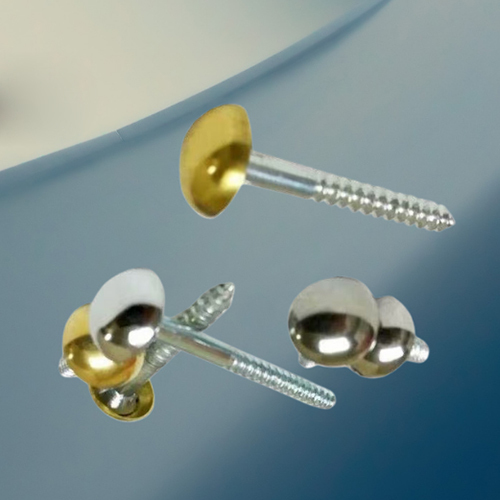 Mirror Screw