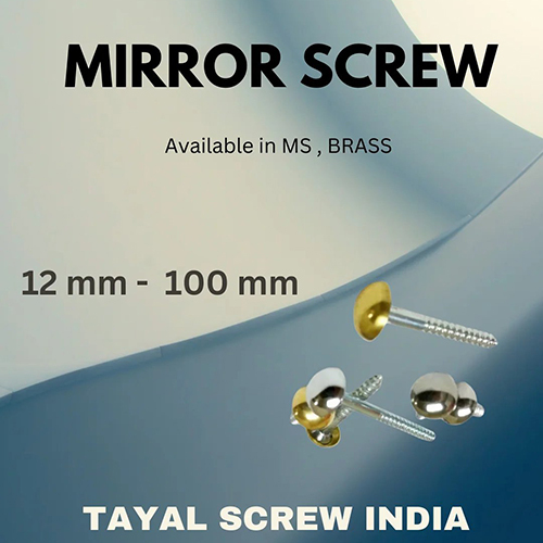 Mirror Screw