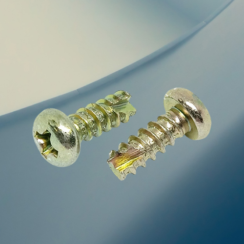 BT Type Tapping Screw