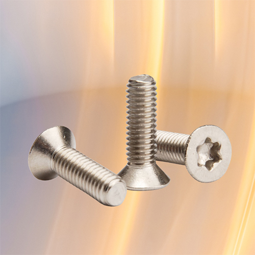 Csk Torx Screw - Application: Industrial