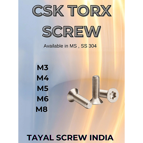 CSK Torx Screw
