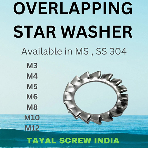 Overlapping Star Washer