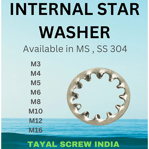 Internal Star Washer
