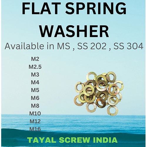 Flat Spring Washer