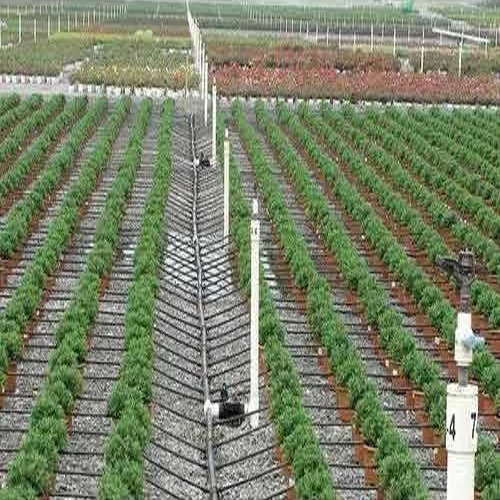 Drip Irrigation System