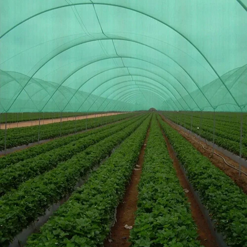 Green Agro Shade Nets