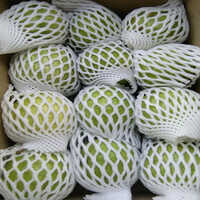 Fruit Cover Bottleneck And Straight Film Thickness: 3 Millimeter (mm)
