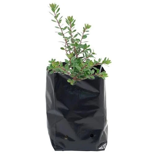 Nursing Planting Bag