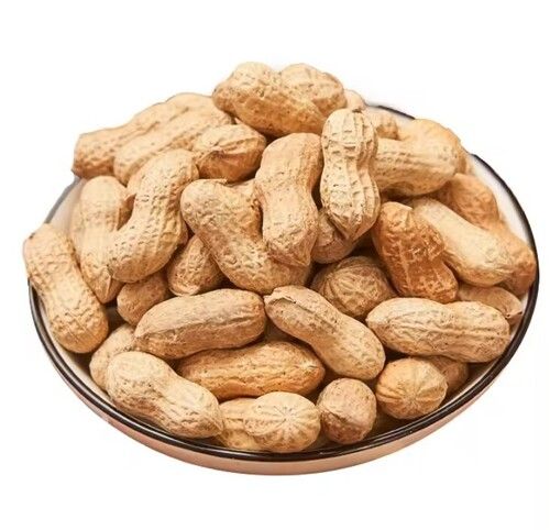 Peanuts in Shell