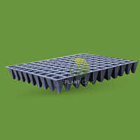 99 Cell Seed Tray - Dimension (l*w*h): 54x24x5  Centimeter (cm)