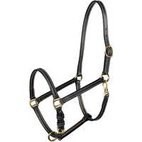 Synthetic Leather Halters - Color: Black