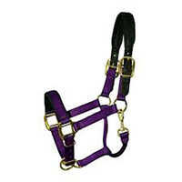 Padded Adjustable Nylon Halter