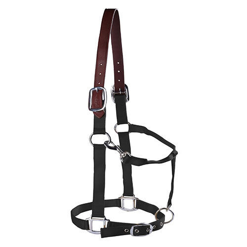 Harnesses