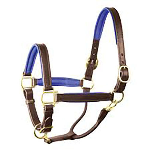 ECONOMIC LEATHER HALTER