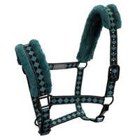 Deluxe Fully Padded Nylon Breakaway Halter Schneiders