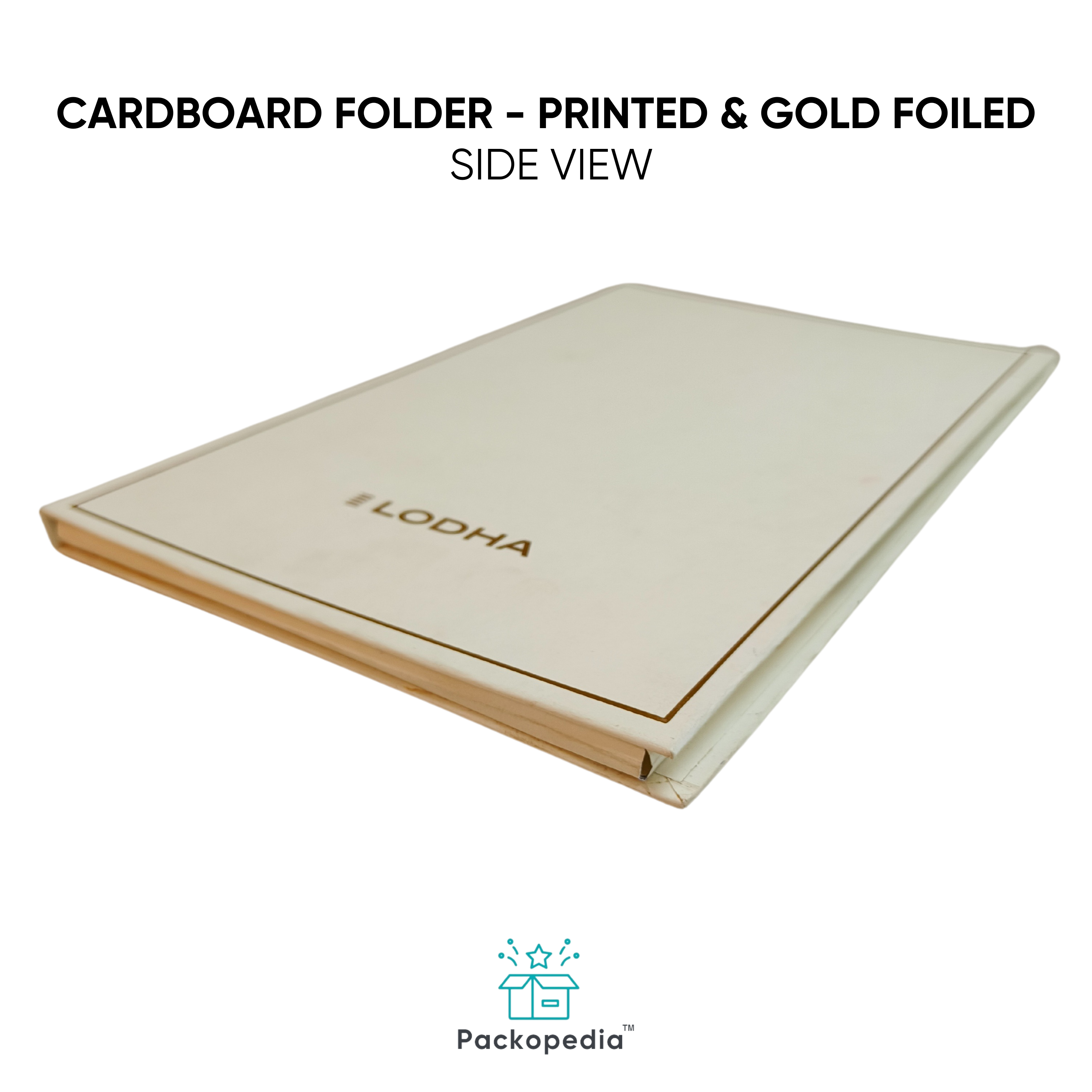 Cardboard Folder for Real Estate - Printed & Gold Foiled
