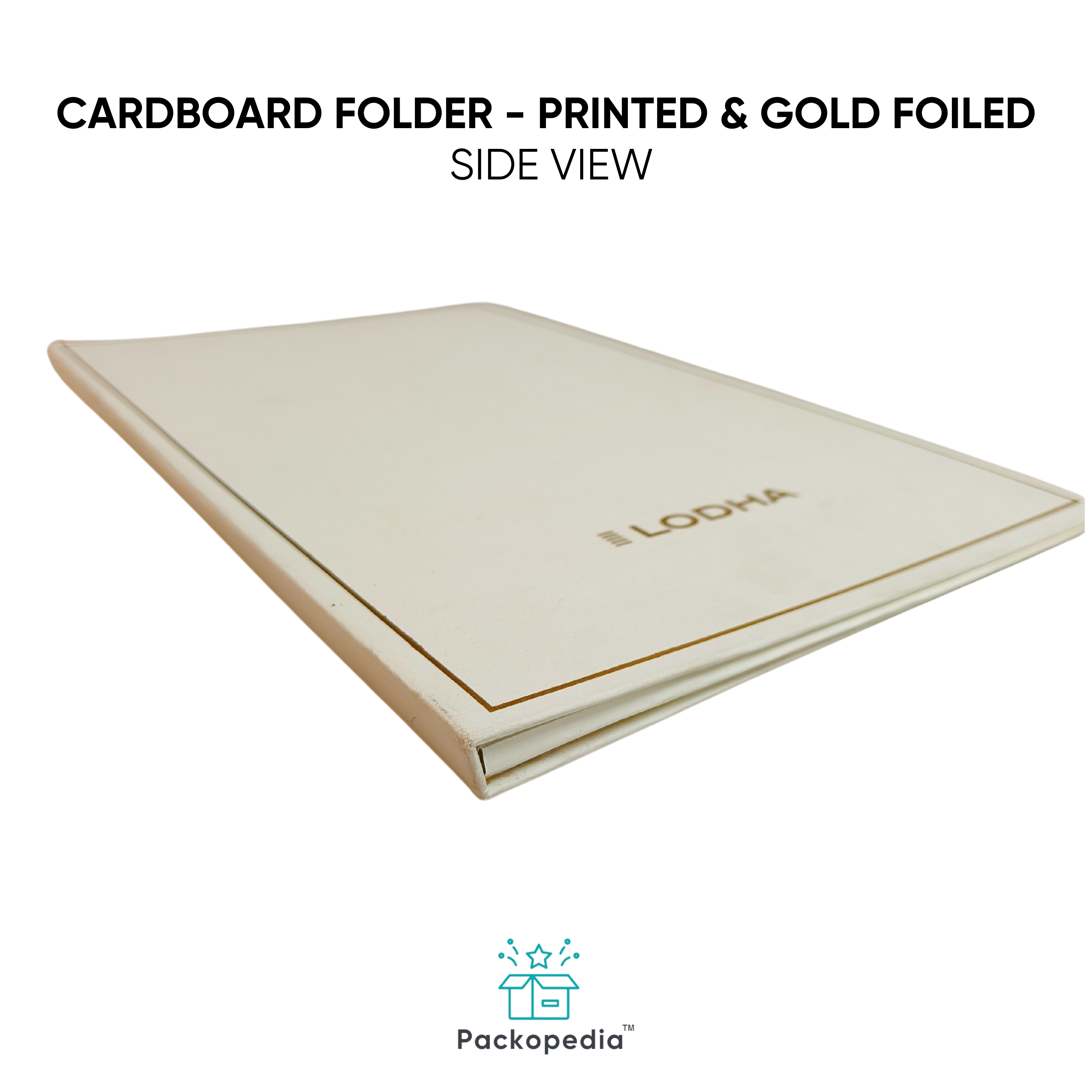 Cardboard Folder for Real Estate - Printed & Gold Foiled
