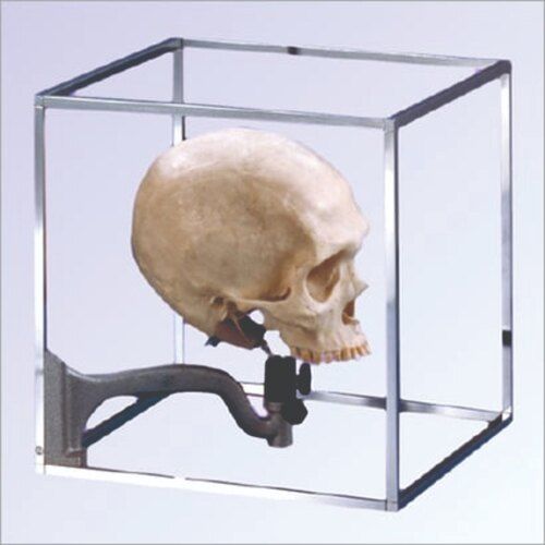 Cubic Craniophor With Clamp