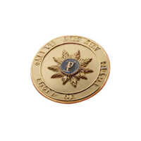 Brass Lapel Pin - Logo Style: Customer Design