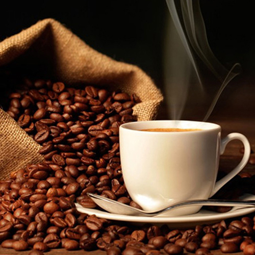 Instant Coffee And Tea Plant