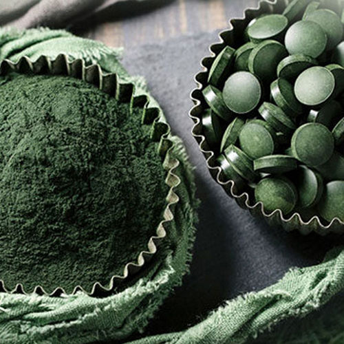 Spirulina Algae Plant