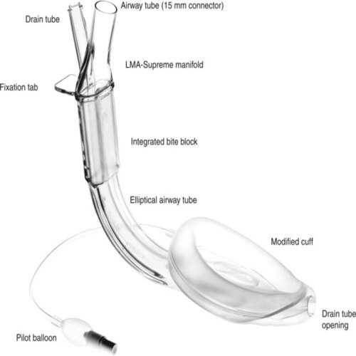 Lma Supreme Anesthesia