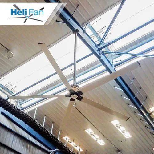 White Big Hvls Fan