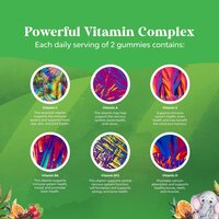 Nature Craft  Multivitamin Gummies