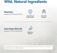 North American Herb Spice Rosemanol