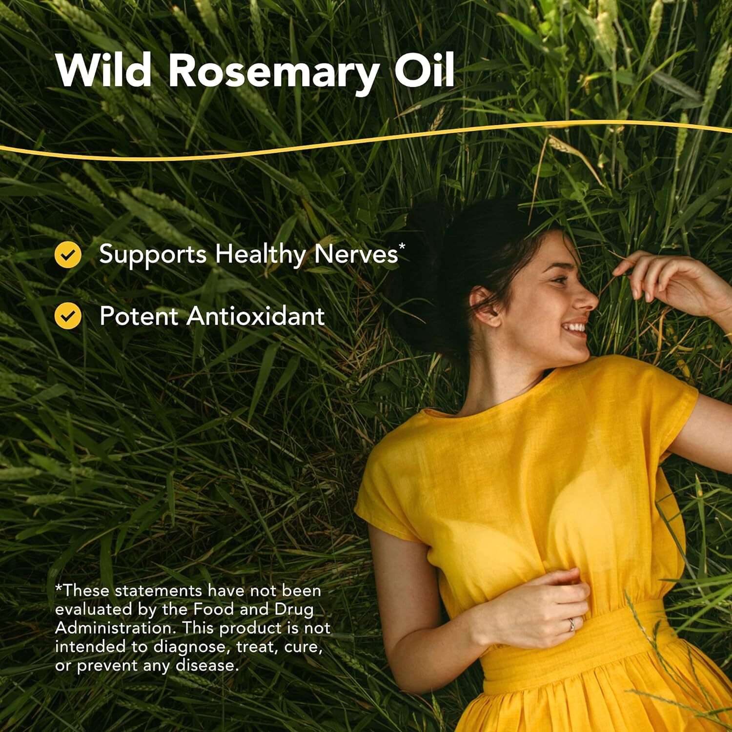 North American Herb Spice Rosemanol