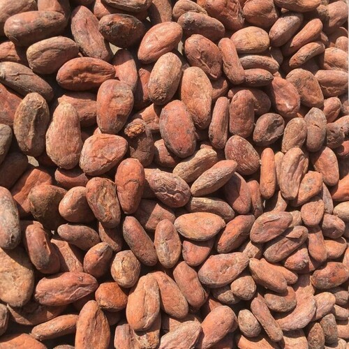 Raw Cocoa Beans
