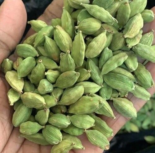 Top Quality Green Cardamom