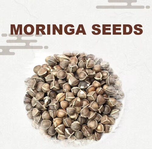 Premium Grade Moringa seeds