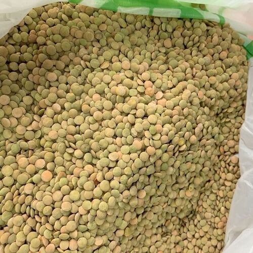 High Quality Lentils/Red Lentils/Green Lentils